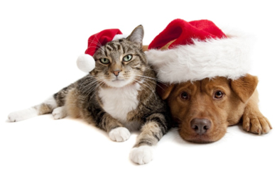 Weihnachten